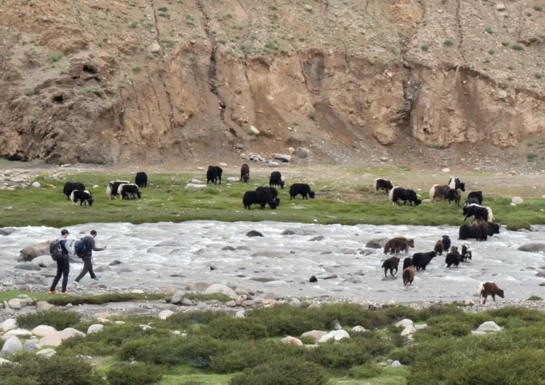 WhatsApp Image 2024-04-02 at 22.44.21_df307658