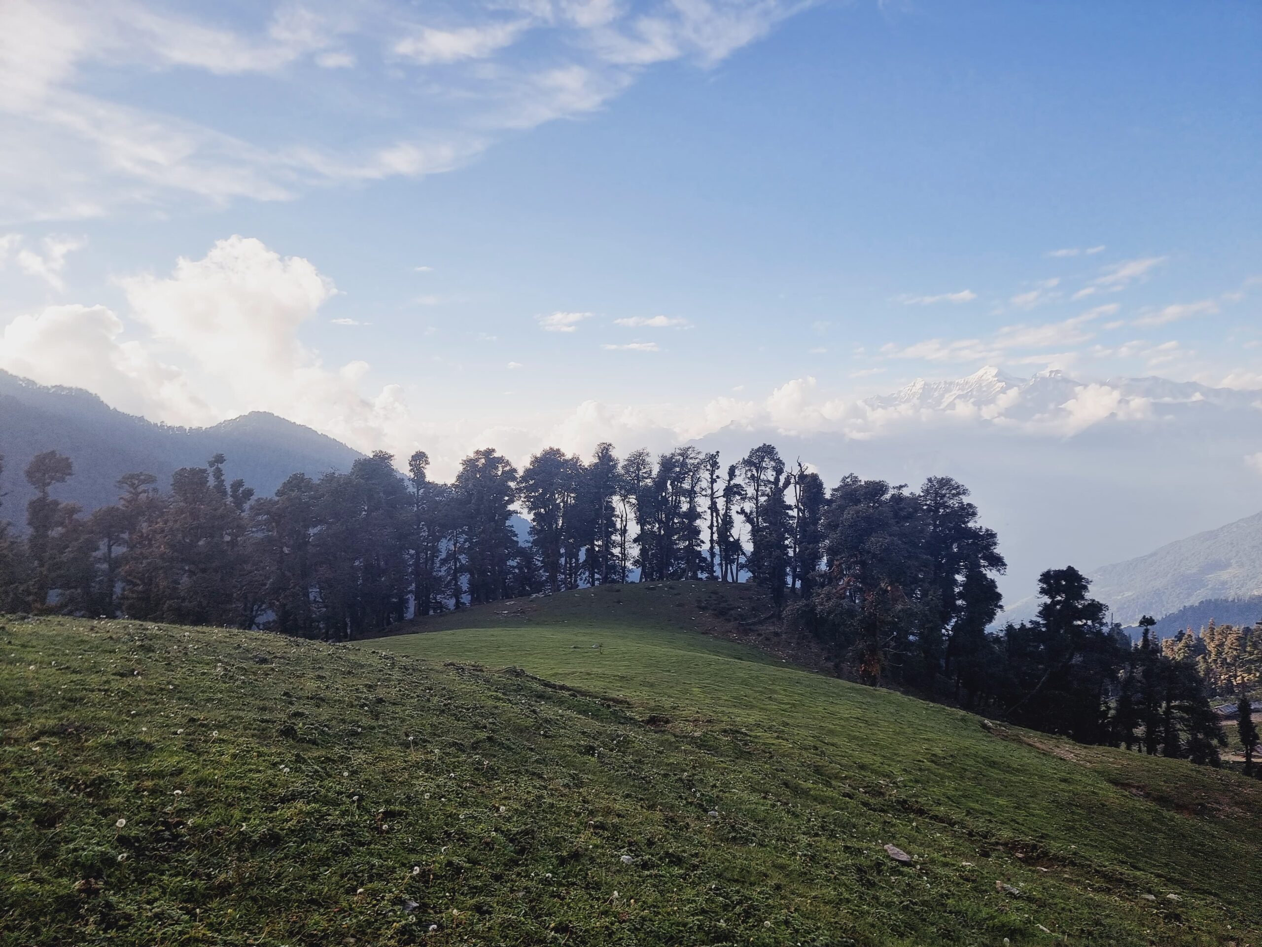 WhatsApp Image 2024-06-20 at 4.25.08 PM (1)