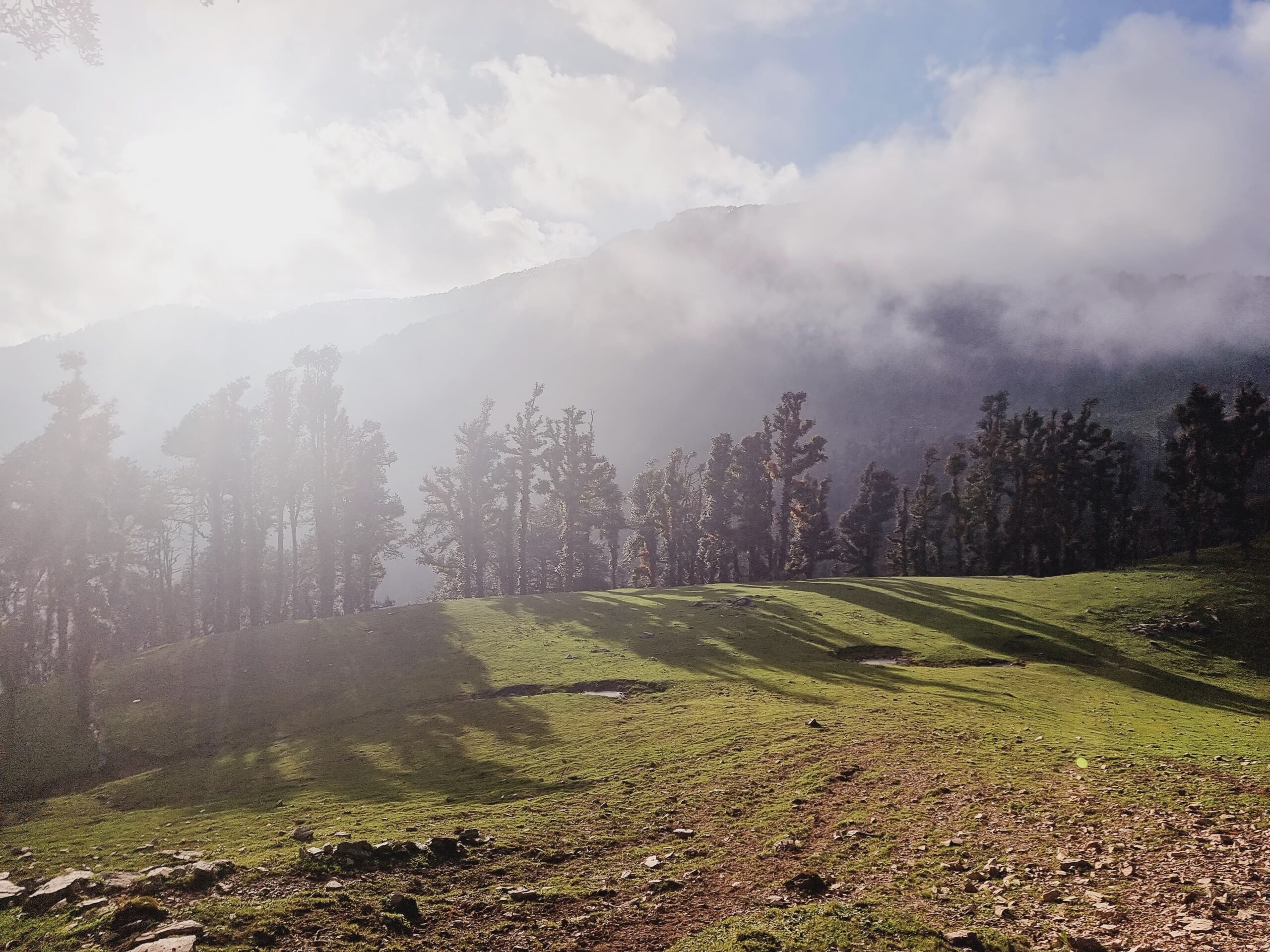 WhatsApp Image 2024-06-20 at 4.25.20 PM