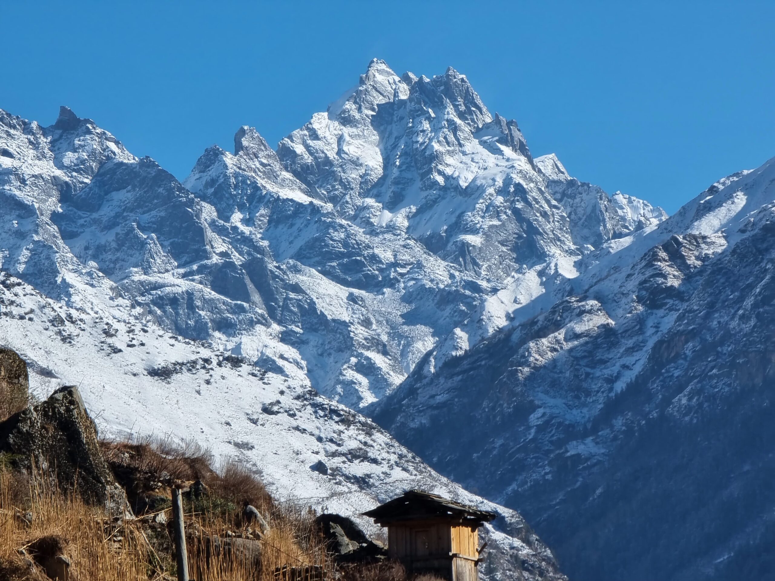 WhatsApp Image 2024-06-20 at 4.40.35 PM