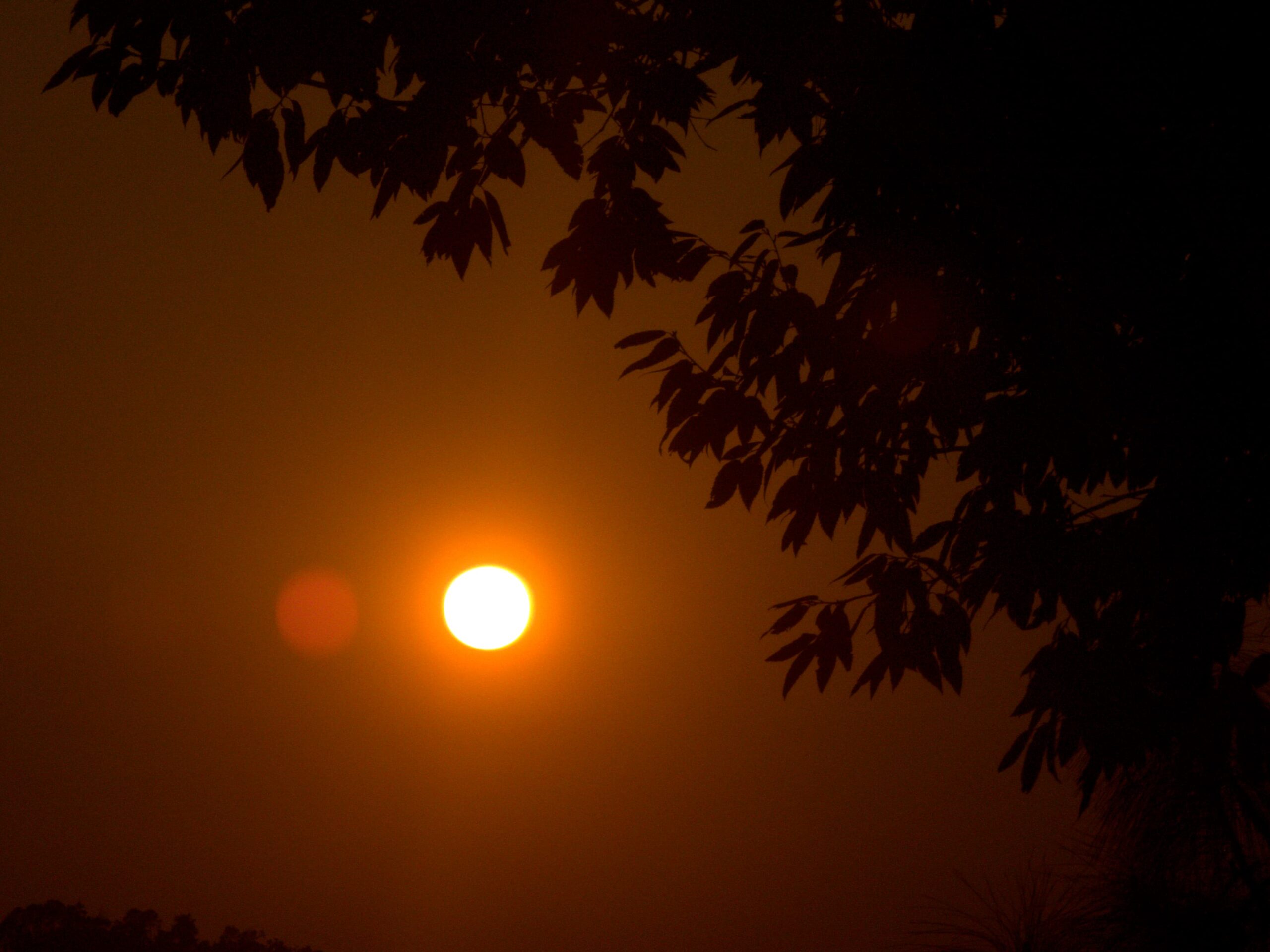 WhatsApp Image 2024-06-21 at 1.28.46 PM