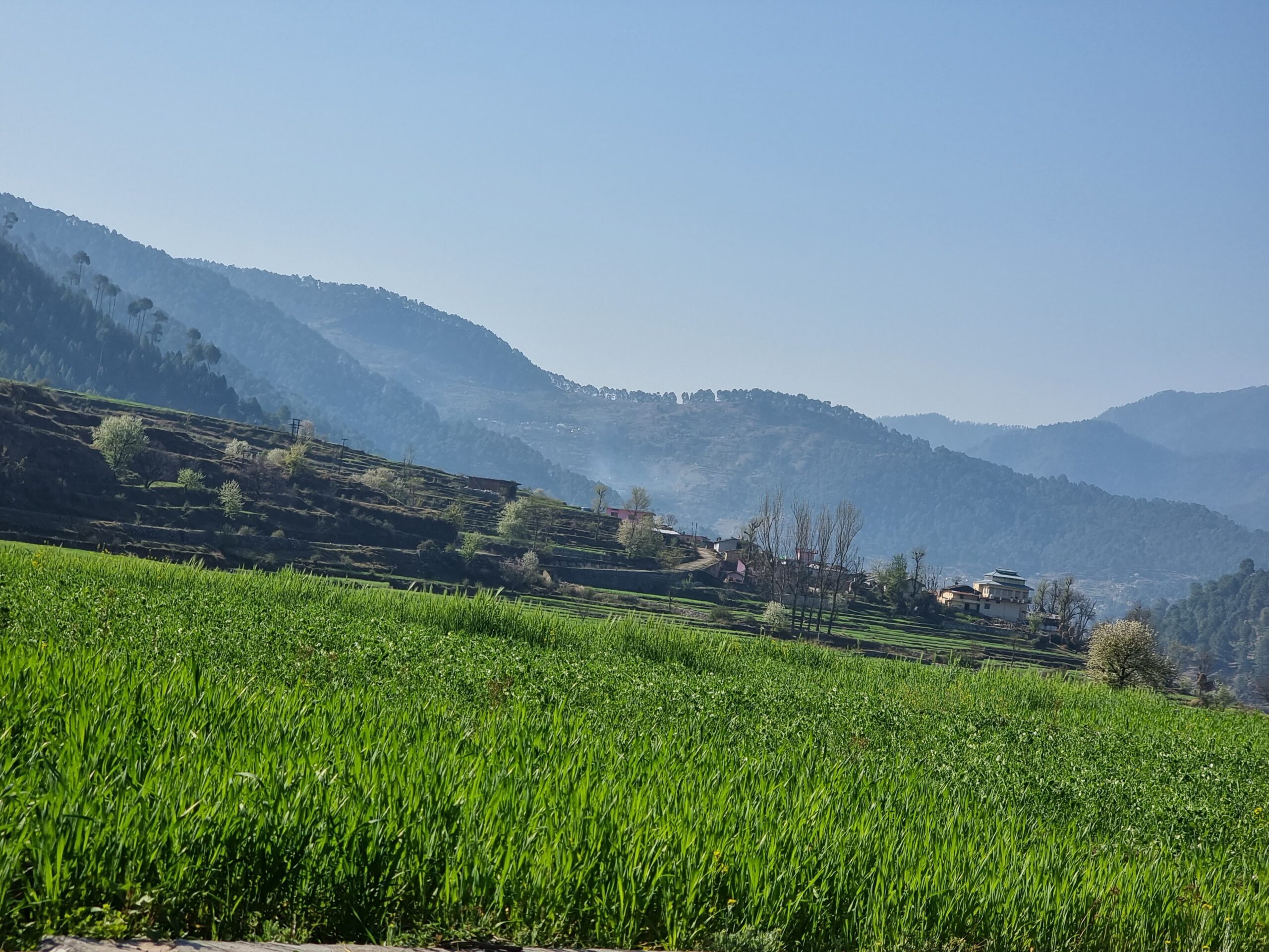 WhatsApp Image 2024-06-21 at 1.28.50 PM