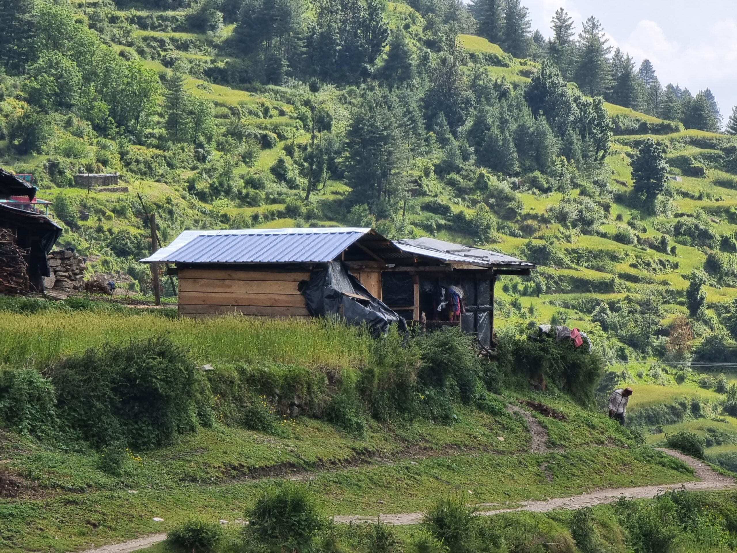 WhatsApp Image 2024-06-21 at 1.31.02 PM