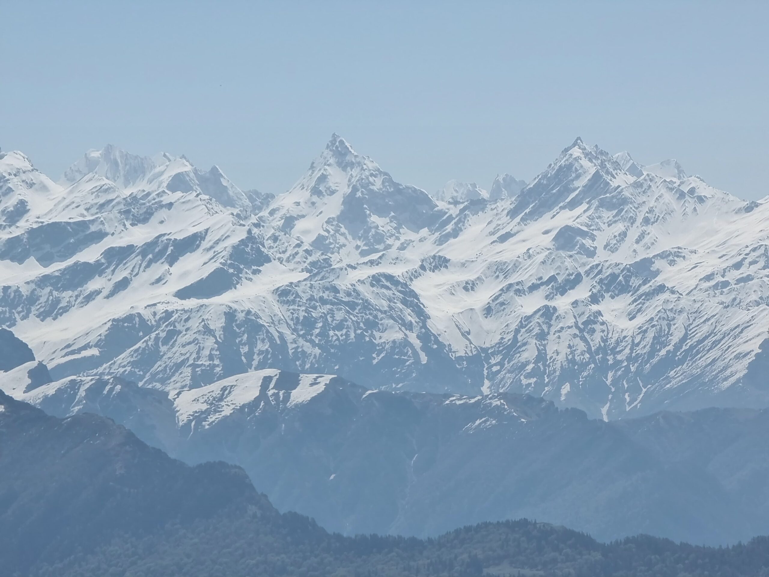 WhatsApp Image 2024-06-21 at 1.31.13 PM (1)