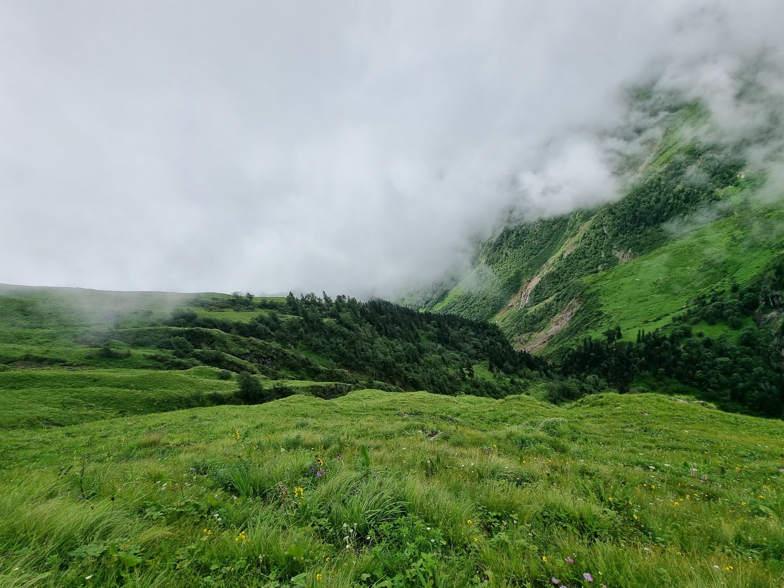 WhatsApp Image 2024-06-21 at 1.46.10 PM