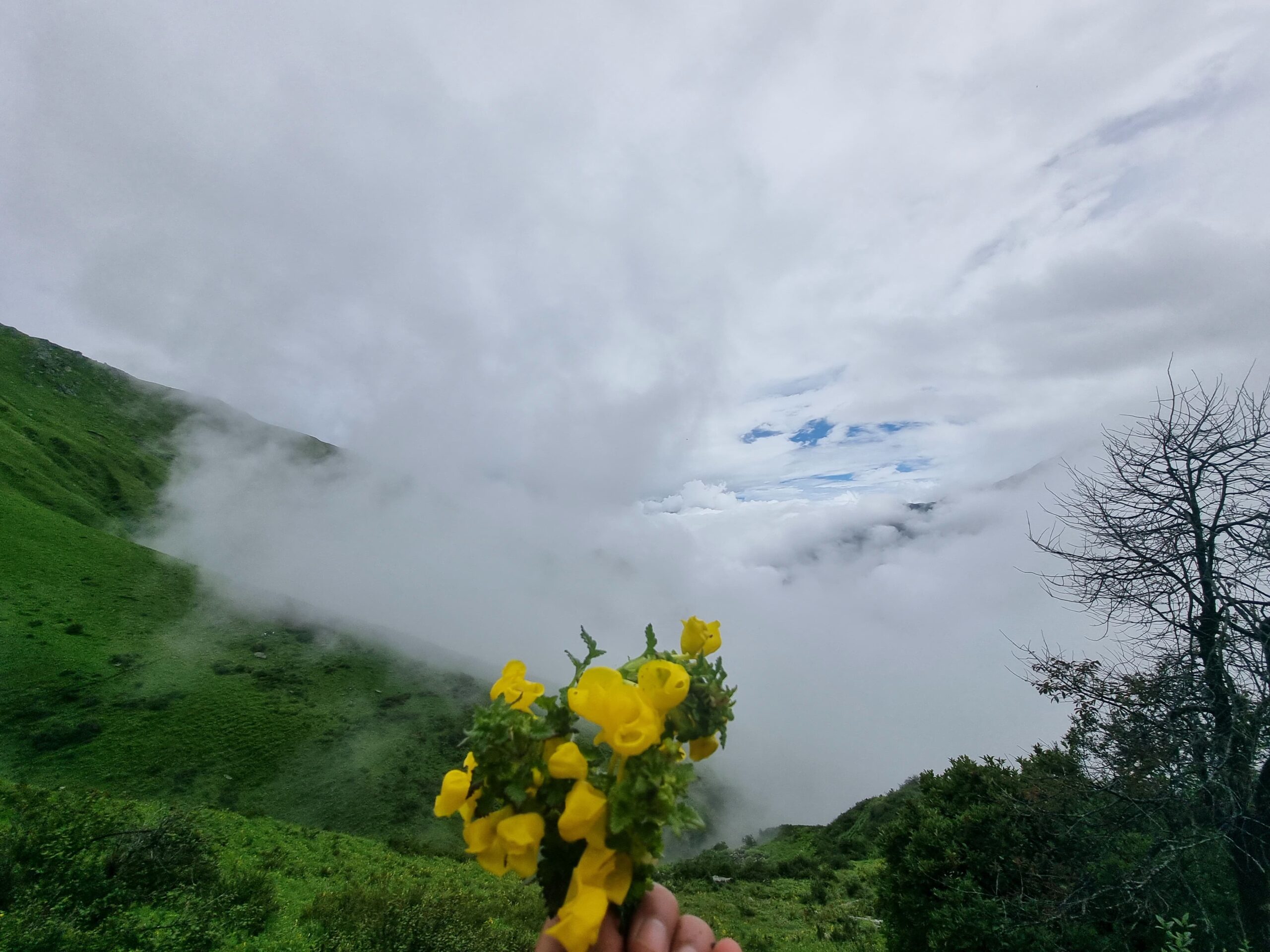 WhatsApp Image 2024-06-21 at 1.46.21 PM (1)