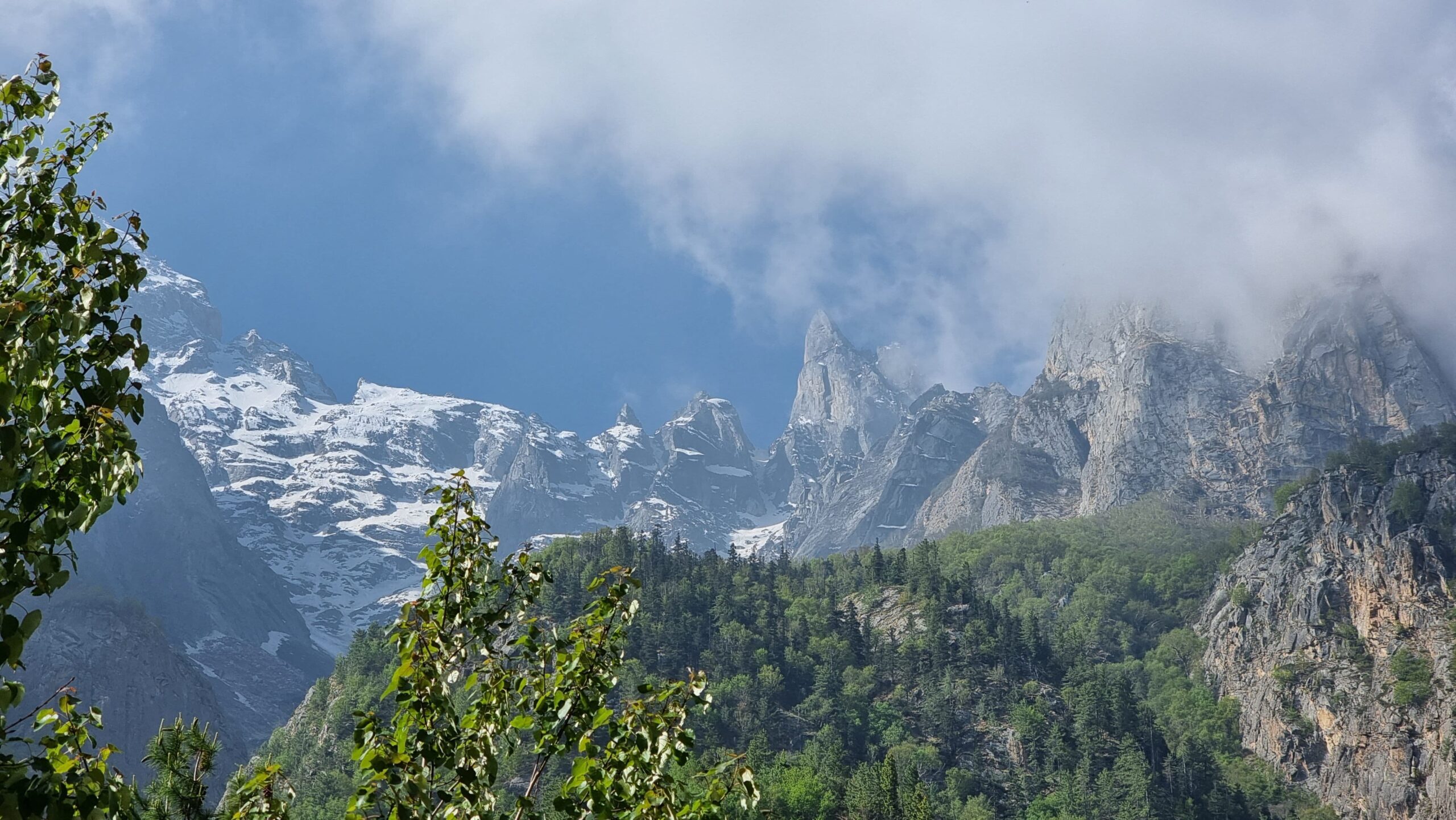 WhatsApp Image 2024-06-30 at 1.08.53 PM