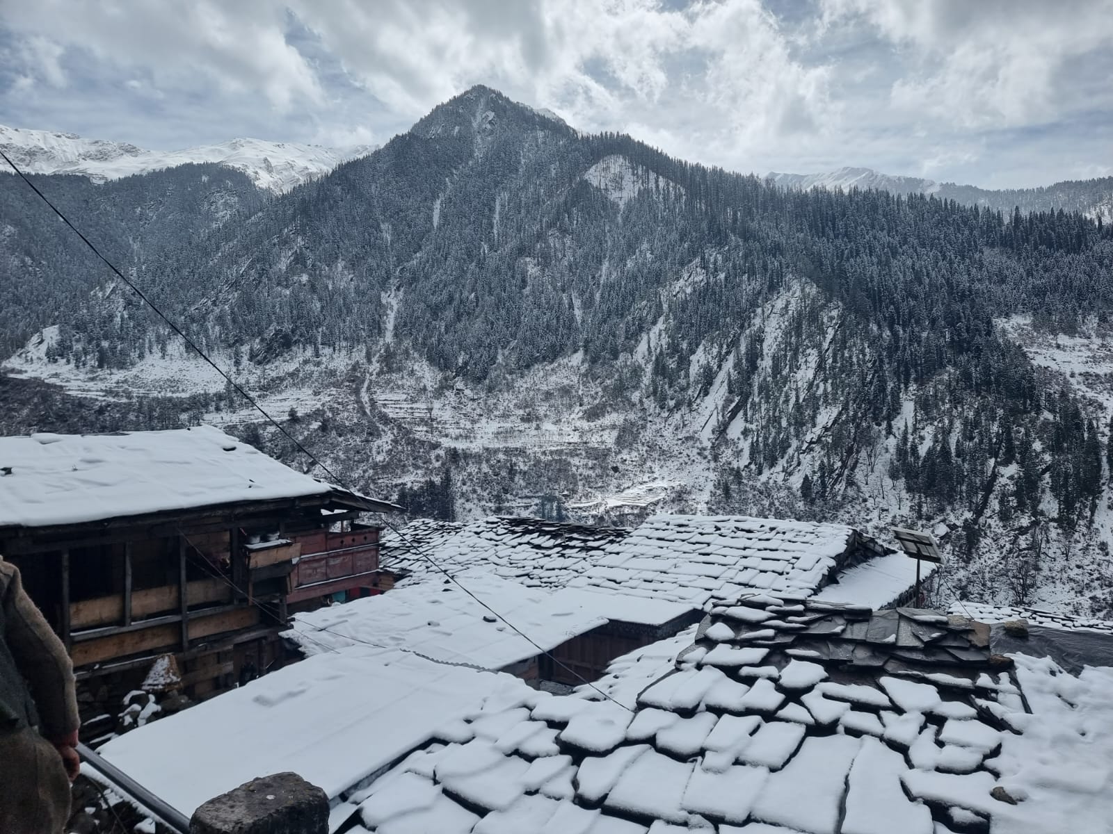 WhatsApp Image 2024-07-02 at 1.01.57 PM